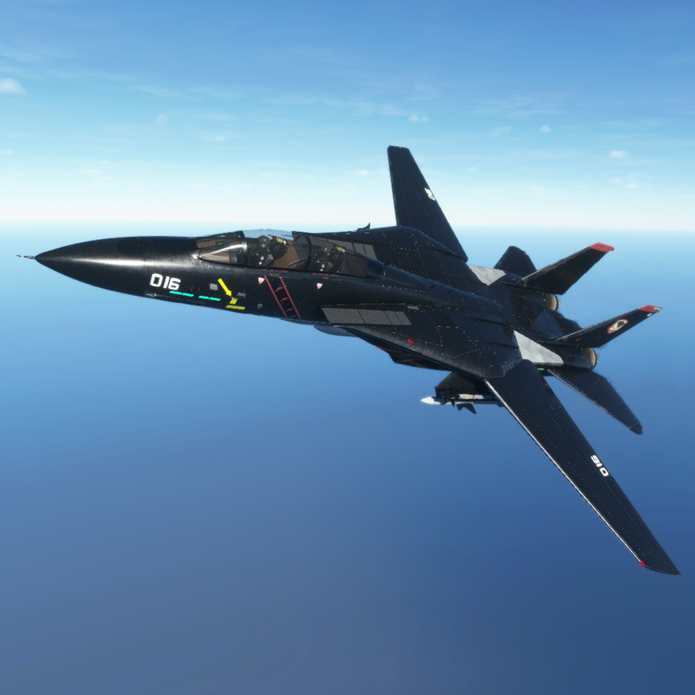 F-14 – Novawing24