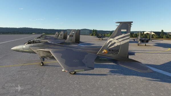 F-15C's from LRSSG of Ace Combat 7
