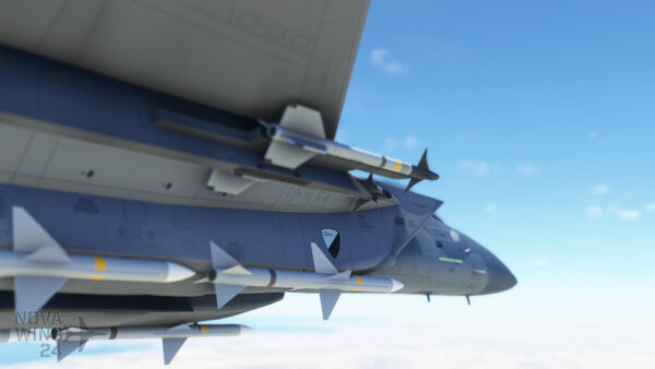 Trigger's F-15C from Ace Combat 7